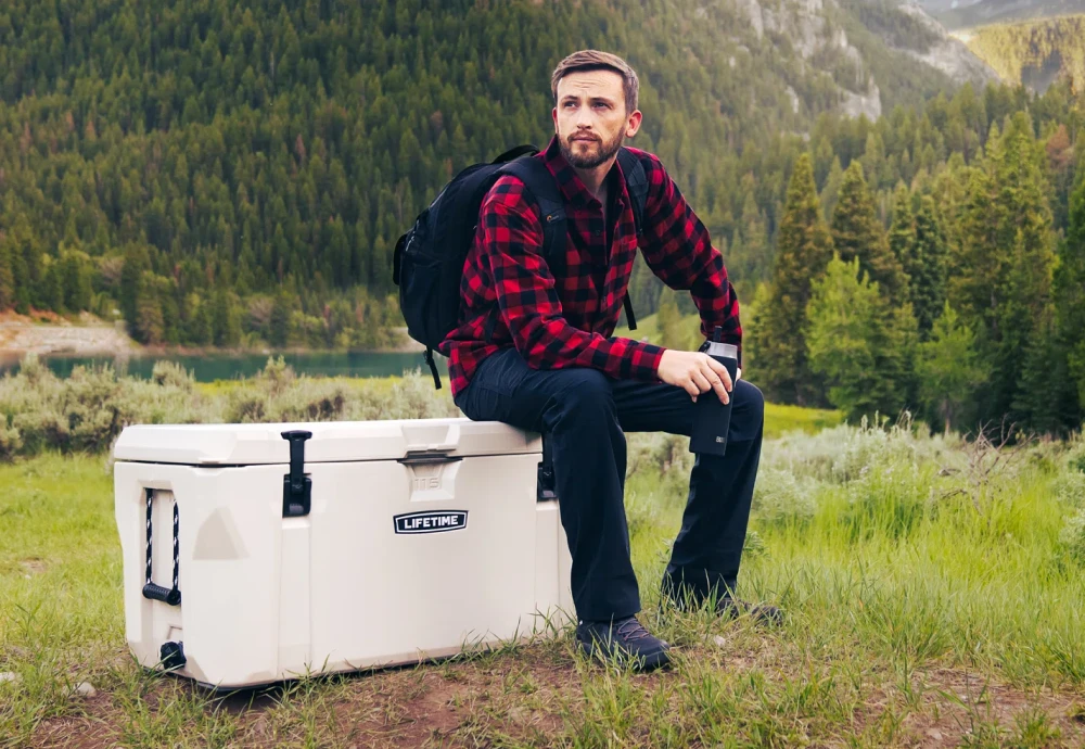 portable cooler box for car