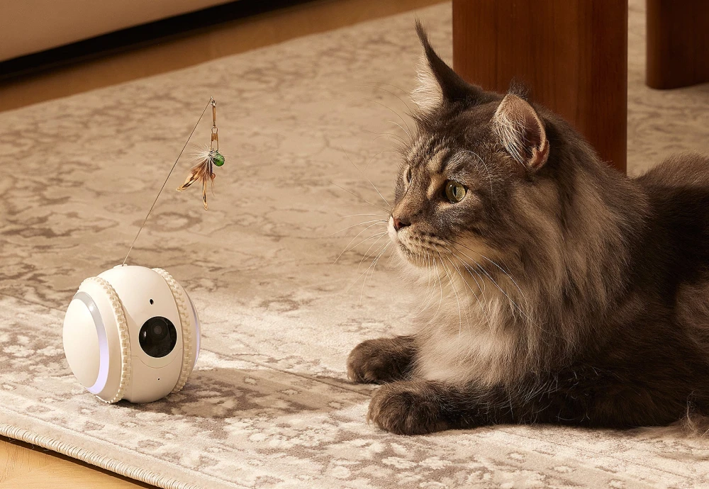 best indoor pet monitoring camera