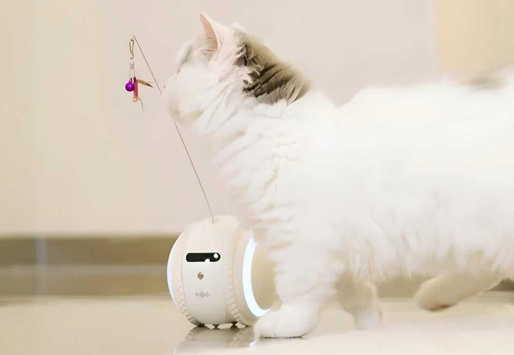 the best pet camera