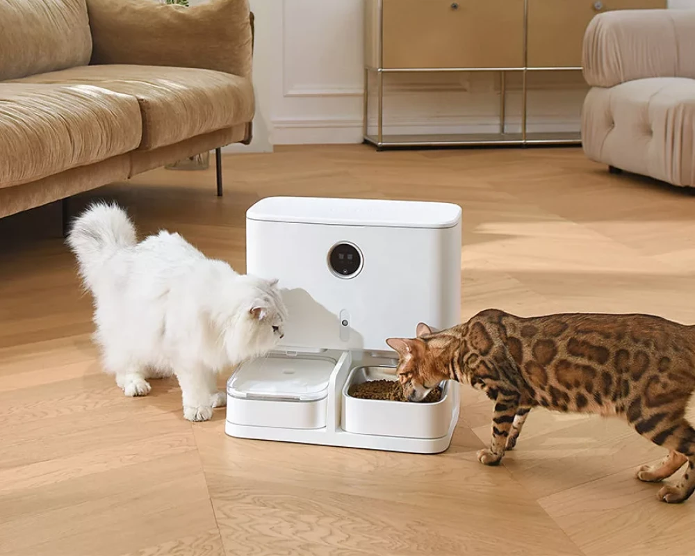 automatic dog feeder and water dispenser