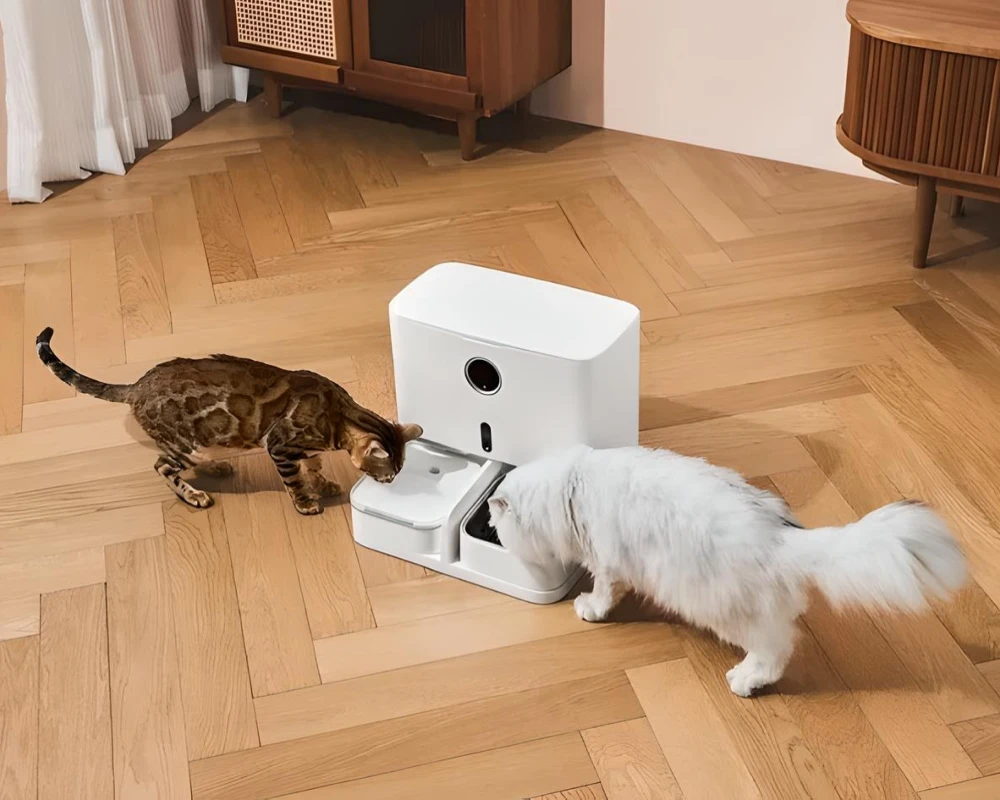 automatic dog bowl feeder